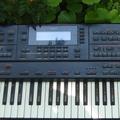 Альбом - Roland G-600 = $400. тел.(098) 114-11-00. • www.jazzmus.com - всім сюди! Тут є все.